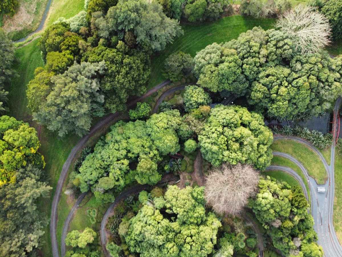 Assessment Retreat Results